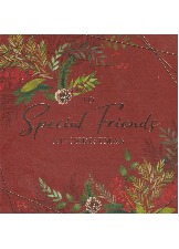 To Special Friends At Christmas